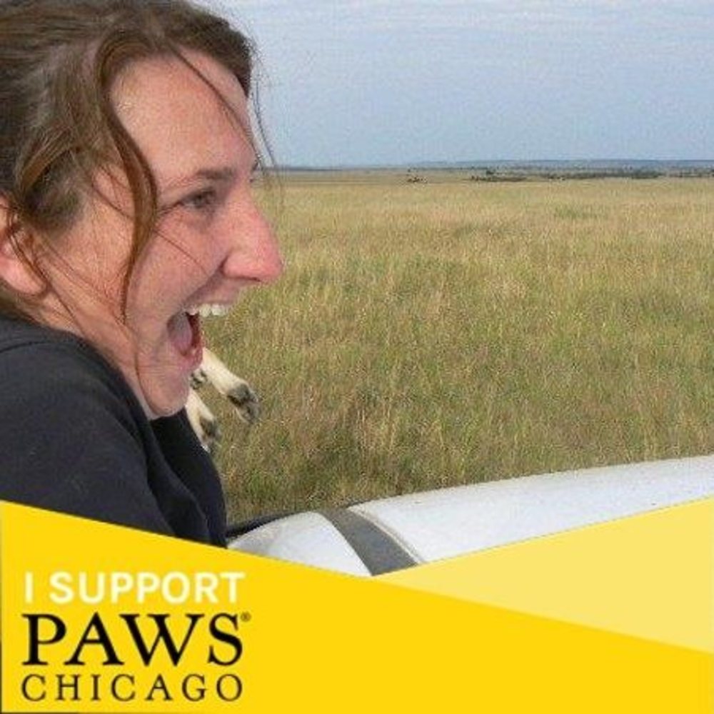 Meet your Posher, Katy